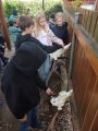 Beseda o myslivosti ve školní družině